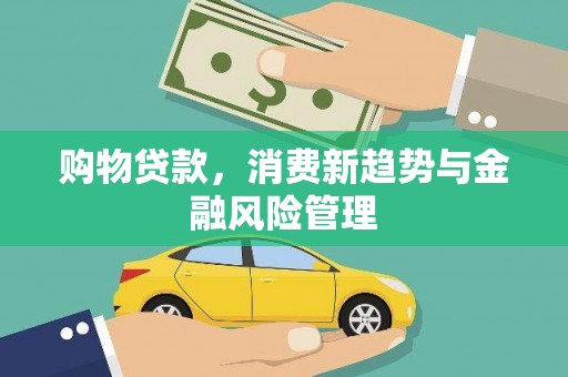 安图购物贷款，消费新趋势与金融风险管理