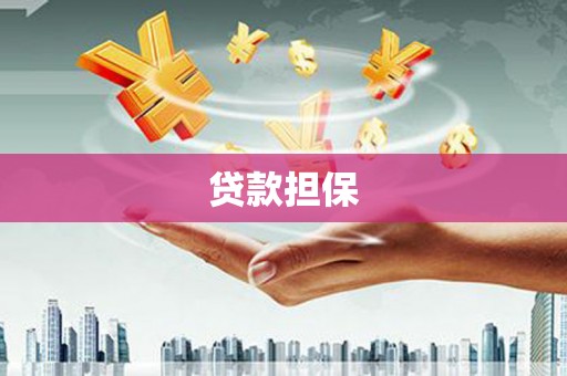 安图贷款担保