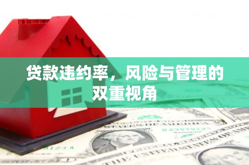 安图贷款违约率，风险与管理的双重视角