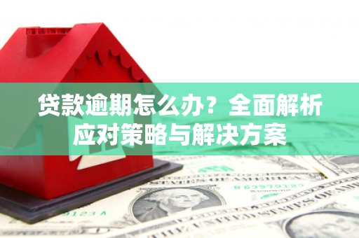 安图贷款逾期怎么办？全面解析应对策略与解决方案