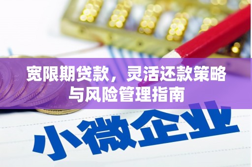 安图宽限期贷款，灵活还款策略与风险管理指南
