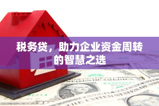 安图税务贷，助力企业资金周转的智慧之选