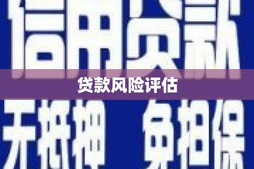 安图贷款风险评估