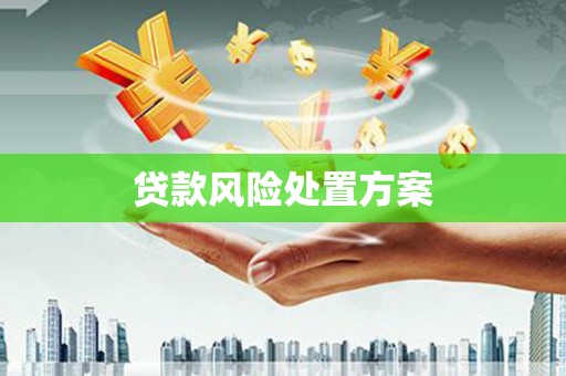 安图贷款风险处置方案