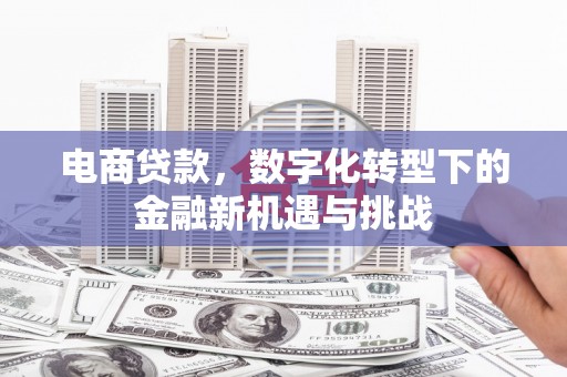 安图电商贷款，数字化转型下的金融新机遇与挑战