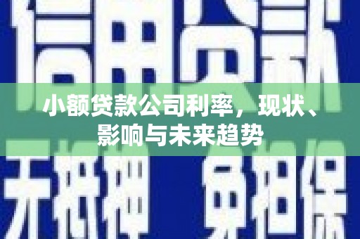 安图小额贷款公司利率，现状、影响与未来趋势
