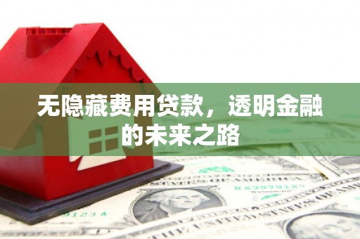 安图无隐藏费用贷款，透明金融的未来之路