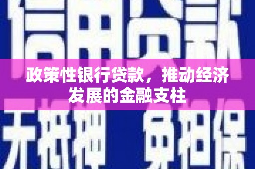 安图政策性银行贷款，推动经济发展的金融支柱