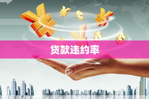 安图贷款违约率