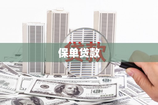 安图保单贷款