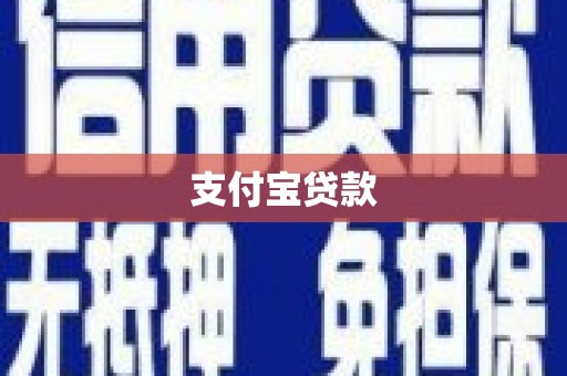 安图支付宝贷款