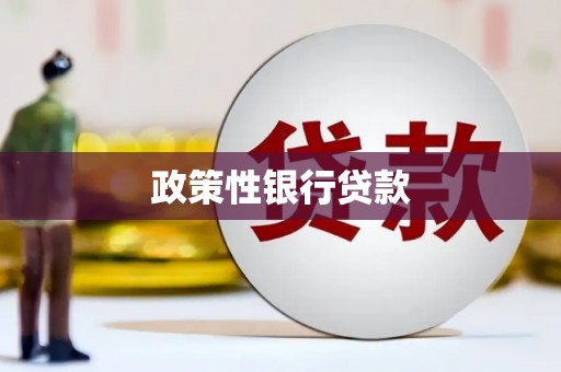 安图政策性银行贷款