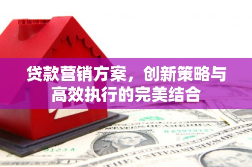 安图贷款营销方案，创新策略与高效执行的完美结合