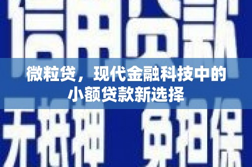 安图微粒贷，现代金融科技中的小额贷款新选择
