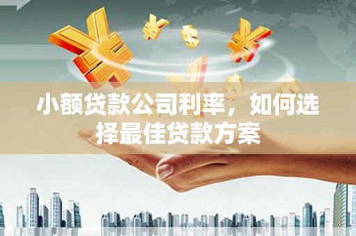 安图小额贷款公司利率，如何选择最佳贷款方案