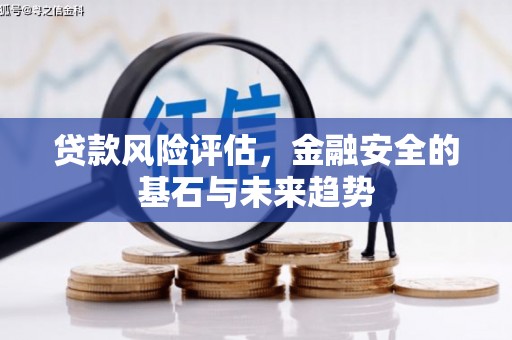 安图贷款风险评估，金融安全的基石与未来趋势