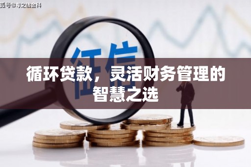 安图循环贷款，灵活财务管理的智慧之选