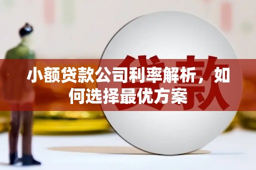 安图小额贷款公司利率解析，如何选择最优方案