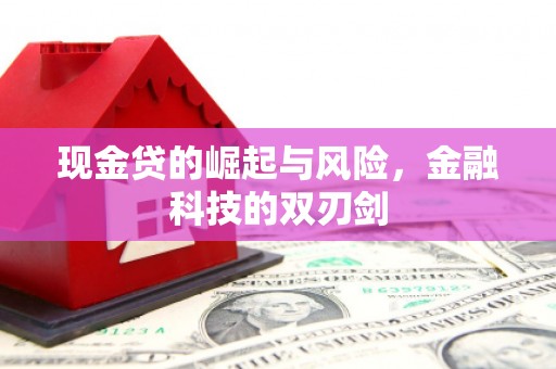 安图现金贷的崛起与风险，金融科技的双刃剑