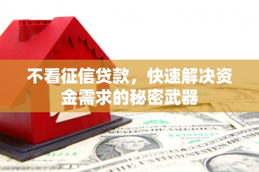 安图不看征信贷款，快速解决资金需求的秘密武器