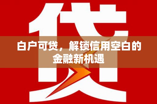 安图白户可贷，解锁信用空白的金融新机遇
