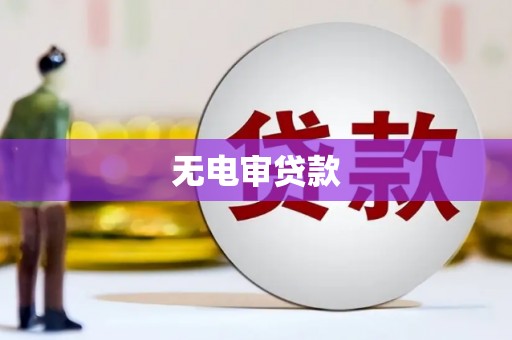 安图无电审贷款