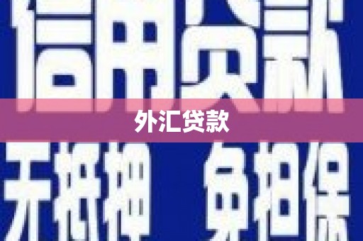 安图外汇贷款