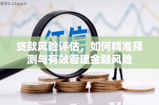 安图贷款风险评估，如何精准预测与有效管理金融风险