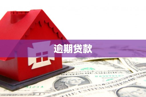 安图逾期贷款