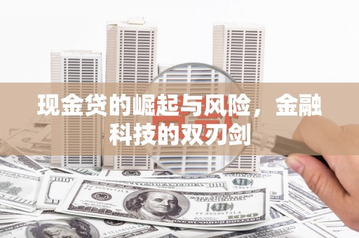 安图现金贷的崛起与风险，金融科技的双刃剑