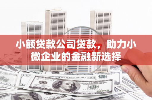 安图小额贷款公司贷款，助力小微企业的金融新选择