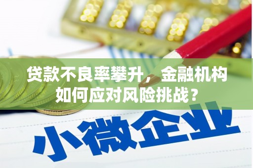 安图贷款不良率攀升，金融机构如何应对风险挑战？