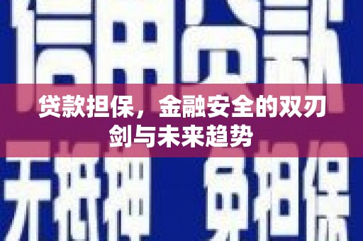 安图贷款担保，金融安全的双刃剑与未来趋势