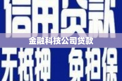 安图金融科技公司贷款