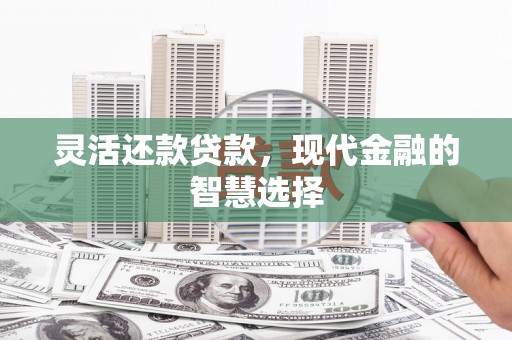 安图灵活还款贷款，现代金融的智慧选择