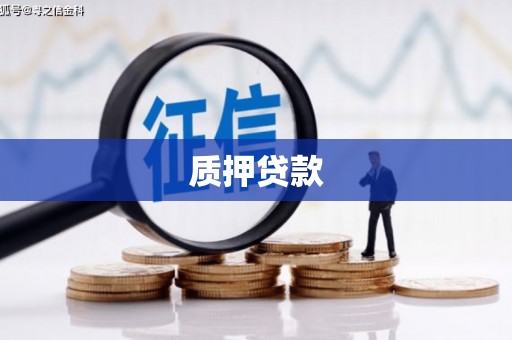安图质押贷款
