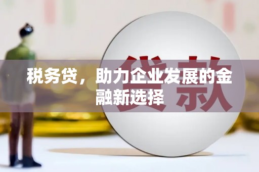 安图税务贷，助力企业发展的金融新选择