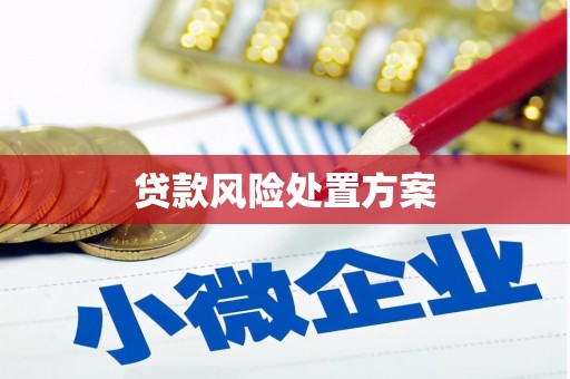 安图贷款风险处置方案