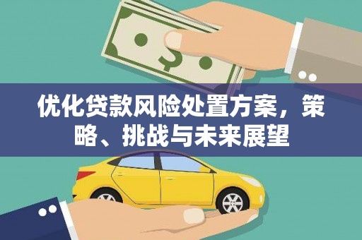 安图优化贷款风险处置方案，策略、挑战与未来展望