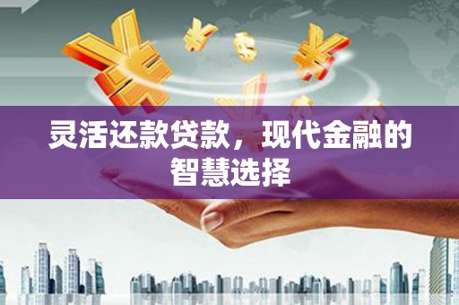 安图灵活还款贷款，现代金融的智慧选择