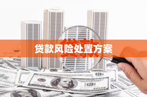 安图贷款风险处置方案