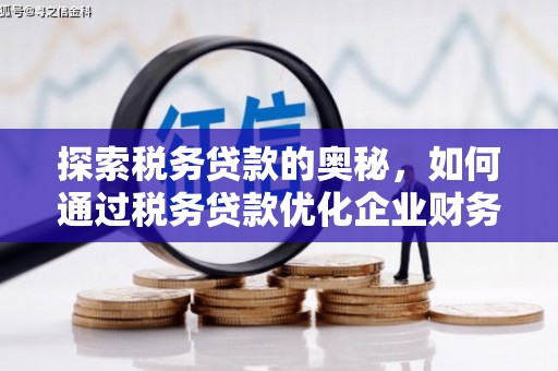 安图探索税务贷款的奥秘，如何通过税务贷款优化企业财务