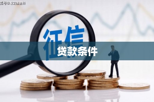 安图贷款条件
