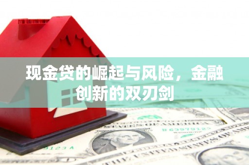 安图现金贷的崛起与风险，金融创新的双刃剑
