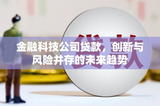 安图金融科技公司贷款，创新与风险并存的未来趋势