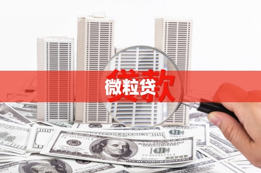 安图微粒贷