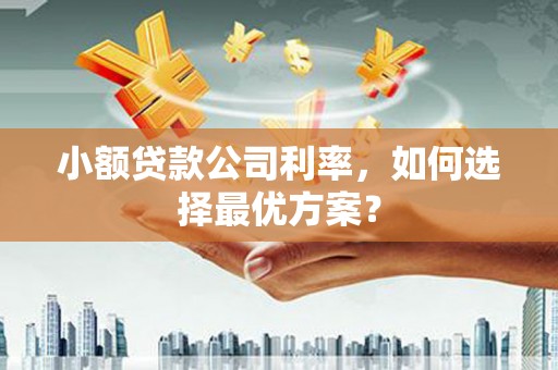 安图小额贷款公司利率，如何选择最优方案？