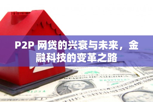 安图P2P 网贷的兴衰与未来，金融科技的变革之路