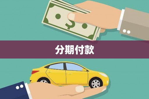 安图分期付款
