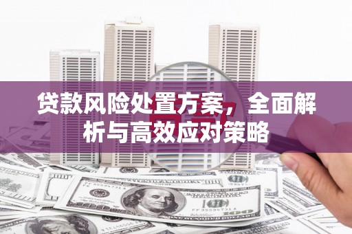 安图贷款风险处置方案，全面解析与高效应对策略